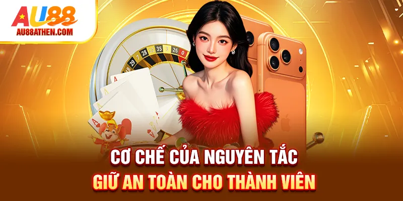 Cơ chế của nguyên tắc giữ an toàn cho thành viên